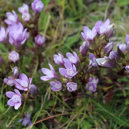 St.leonhard Bad Gastein