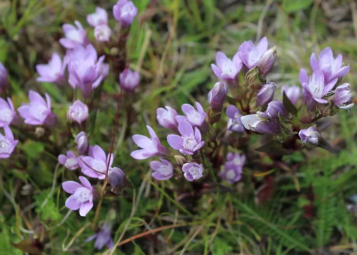 St.leonhard Bad Gastein